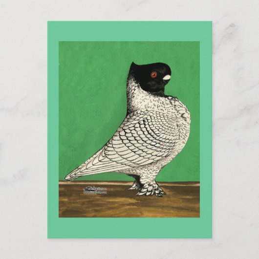 Blondinette Frill Pigeon Briefkaart (Voorkant)