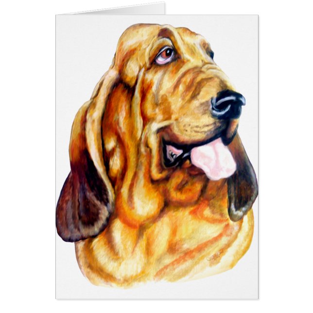 Bloodhound Bust (Voorkant)