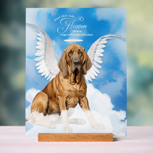 Bloodhound Chien Angel avec le nom Pet Memorial (Neutre)