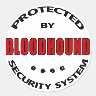 Bloodhound Dog Security Ronde Sticker