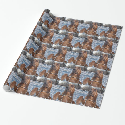 Bloodhound Face Cadeaupapier (Uitgerold)