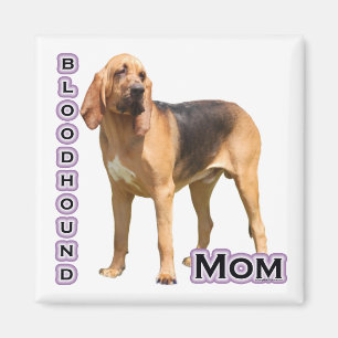 Bloodhound Maman 4 - Magnet