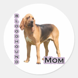 Bloodhound Moeder 4 - Sticker