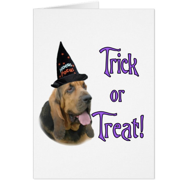 Bloodhound Trick (Devant)