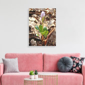 Bloodroot Bud - Harbinger van de lente Canvas Afdruk (Insitu (Woonkamer))