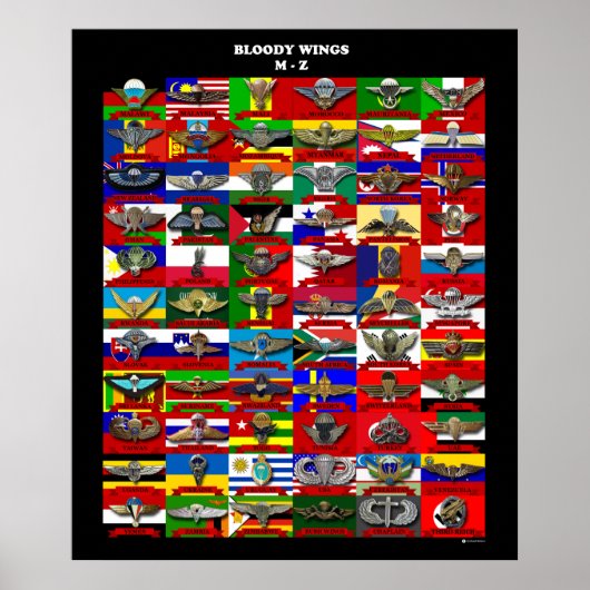 Bloody Wings Affiches (Devant)