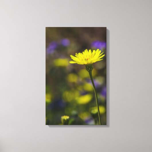 Bloom Canvas Afdruk (Voorkant)
