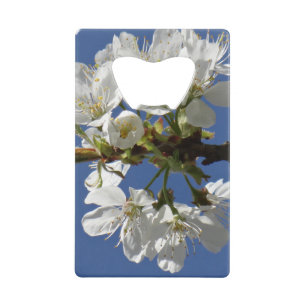 Bloom du printemps blanc