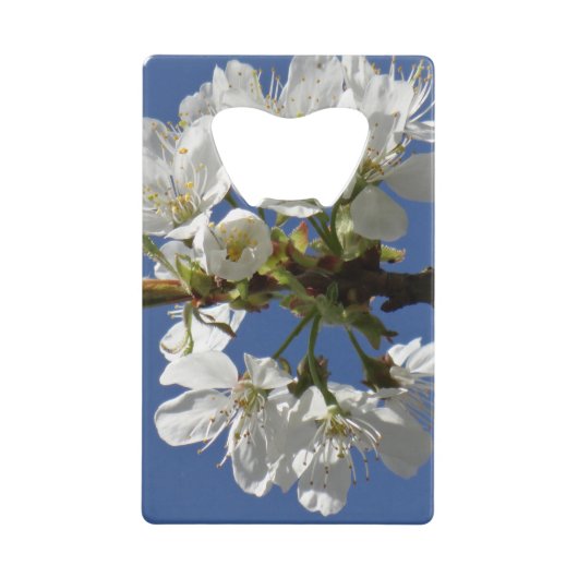 Bloom du printemps blanc (Devant)