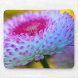 Bloom Flower Muismat
