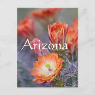 Bloom in het Oranje, Arizona Briefkaart