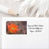 Bloom in oranje cactus bloesem etiket (Insitu)