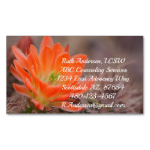 Bloom in oranje cactus bloesem