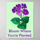 Bloom là où vous êtes planté Poster (Devant)