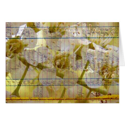 Bloom Ledger Page Cherry Blossom (Voorkant Horizontaal)