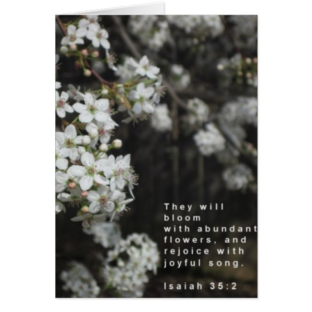 Bloom Scripture Card (Devant)