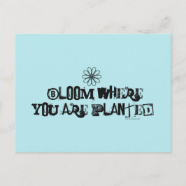 Bloom waar je bent geplant. briefkaart
