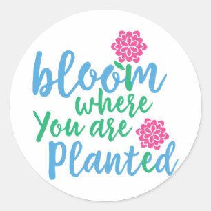Bloom waar je bent geplant ronde sticker
