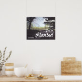 "BLOOM WAAR JE GEPLANTEERD BENT" POSTER (Keuken)