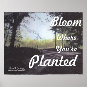 "BLOOM WAAR JE GEPLANTEERD BENT" POSTER