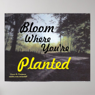 "BLOOM WAAR JE GEPLANTEERD BENT" POSTER