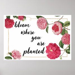Bloom waar u bent geplant poster