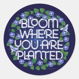 Bloom waar u bent geplant / Stickers