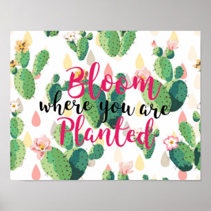 Bloom waar u het geplande Poster van de Druk Cactu