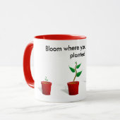 Bloom waar u mok bent geplant (Voorkant links)