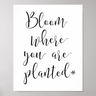 Bloom waar u Poster bent geplant