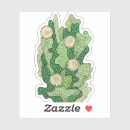 Bloomcactus, succulente bloemen, woestijnplanten sticker
