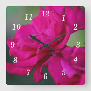 Bloomed Roze Rose Wandklok Vierkante Klok