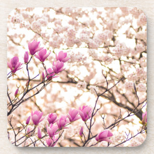 Bloomende roze Paarse Magnolias Spring Flower Bier Onderzetter