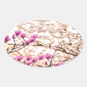 Bloomende roze Paarse Magnolias Spring Flower Ovale Sticker