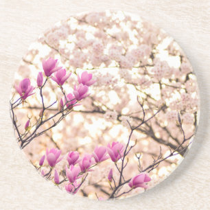 Bloomende roze Paarse Magnolias Spring Flower Zandsteen Onderzetter