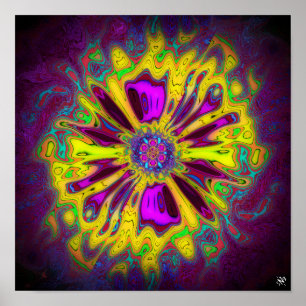 Bloomende ster-bloem v2 patronen pareidolia poster