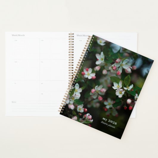 Blooming apple tree planner (Display)