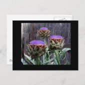 Blooming Artichokes Briefkaart (Voorkant / Achterkant)