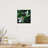 Blooming Blueberries Poster (Keuken)