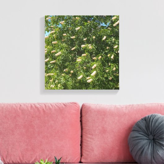 Blooming Buckeye Canvas Afdruk (Insitu (Woonkamer))