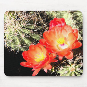 Blooming Cactus bij nacht Muismat
