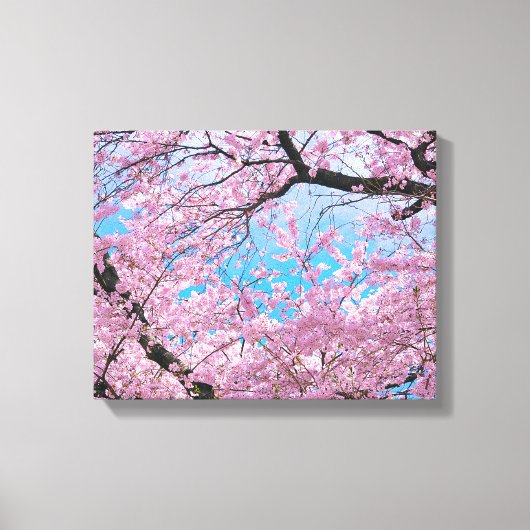 Blooming Cherry Blossom Canvas Afdruk (Voorkant)