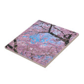 Blooming Cherry Blossom Tegeltje (Zijkant)