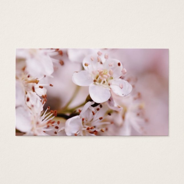 Blooming Cherry Blossom Visitekaartje (Voorkant)