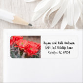 Blooming Egel cactus Etiket (Insitu)