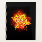 Blooming Fire Rose (Devant)