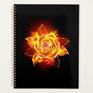 Blooming Fire Rose