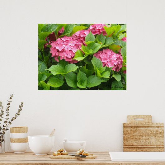 Blooming Hydrangeas Poster (Keuken)
