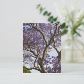 Blooming Jacaranda Trees in New Boerderij Park Briefkaart (Staand voorkant)