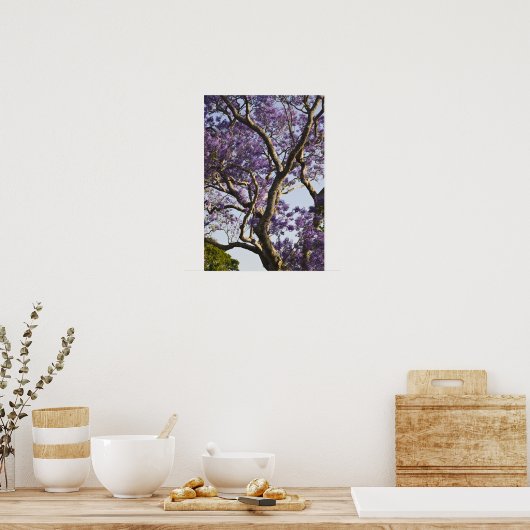 Blooming Jacaranda Trees in New Boerderij Park Poster (Keuken)